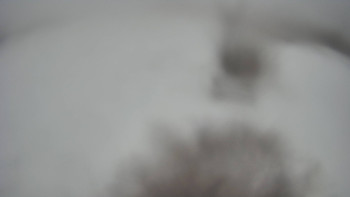 Snímek    23.11.2025 v 09:00