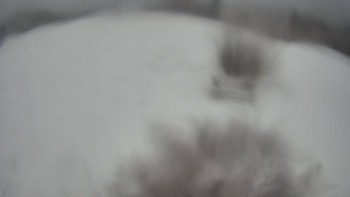 Snímek    23.11.2025 v 12:00