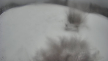 Snímek 23.11.2025 v 13:00