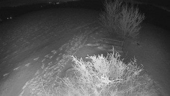 Snímek 23.11.2025 v 21:00