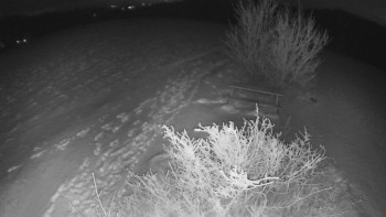 Snímek    23.11.2025 v 21:30