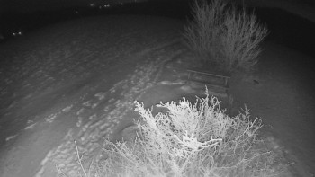 Snímek    23.11.2025 v 23:30