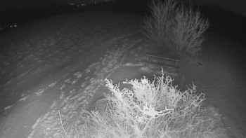 Snímek 24.11.2025 v 00:00