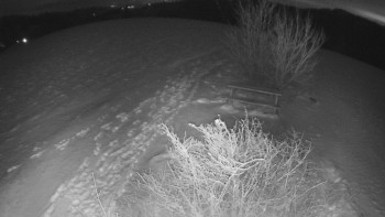 Snímek    24.11.2025 v 05:30