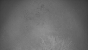 Bludný - Rajnochovice Troják - Bludný - Rajnochovice Troják  - 22.12.2025 v 06:30