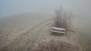 Bludný - Rajnochovice Troják - Bludný - Rajnochovice Troják  - 22.12.2025 v 08:30