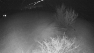 Bludný - Rajnochovice Troják - Bludný - Rajnochovice Troják  - 28.12.2025 v 02:30