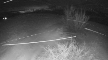 Bludný - Rajnochovice Troják