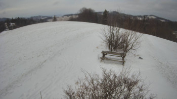 Bludný - Rajnochovice Troják