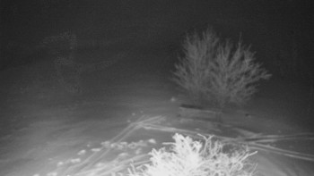 Bludný - Rajnochovice Troják