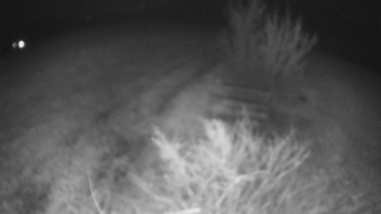 Bludný - Rajnochovice Troják