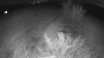 Bludný - Rajnochovice Troják