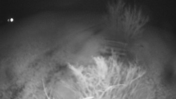 Bludný - Rajnochovice Troják