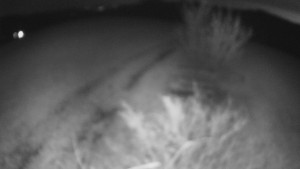 Bludný - Rajnochovice Troják - Bludný - Rajnochovice Troják - 22.3.2026 v 04:30 Bludný - Rajnochovice Troják - Bludný - Rajnochovice Troják - 22.3.2026 v 04:30