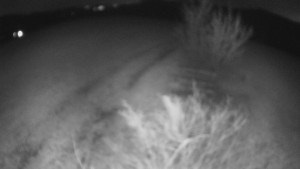 Bludný - Rajnochovice Troják - Bludný - Rajnochovice Troják - 22.3.2026 v 20:30 Bludný - Rajnochovice Troják - Bludný - Rajnochovice Troják - 22.3.2026 v 20:30