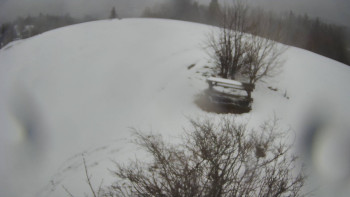 Bludný - Rajnochovice Troják