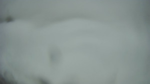 Bludný - Rajnochovice Troják - Bludný - Rajnochovice Troják  - 28.3.2026 v 06:00