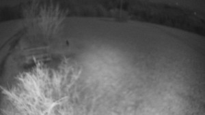 Bludný - Rajnochovice Troják - Bludný - Rajnochovice Troják - 4.4.2026 v 01:30 Bludný - Rajnochovice Troják - Bludný - Rajnochovice Troják - 4.4.2026 v 01:30