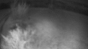 Bludný - Rajnochovice Troják - Bludný - Rajnochovice Troják - 4.4.2026 v 04:30 Bludný - Rajnochovice Troják - Bludný - Rajnochovice Troják - 4.4.2026 v 04:30