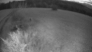 Bludný - Rajnochovice Troják - Bludný - Rajnochovice Troják - 4.4.2026 v 05:30 Bludný - Rajnochovice Troják - Bludný - Rajnochovice Troják - 4.4.2026 v 05:30