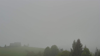 Snímek    11.5.2025 v 07:02