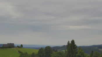 Snímek    12.7.2025 v 07:02