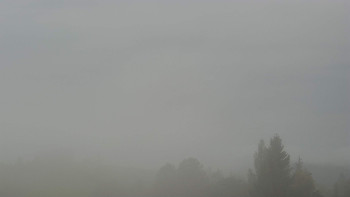 Snímek    13.9.2025 v 09:02