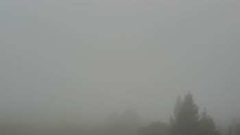 Snímek    13.9.2025 v 09:32