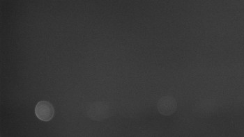 Snímek    13.10.2025 v 21:01