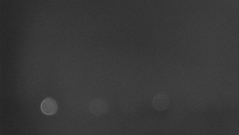 Snímek    13.10.2025 v 22:01