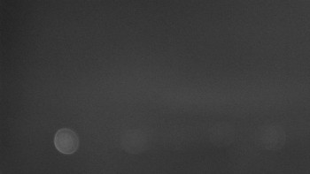 Snímek    28.10.2025 v 22:01