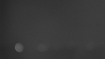 Snímek    31.10.2025 v 02:01