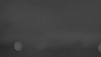 Snímek    31.10.2025 v 19:32