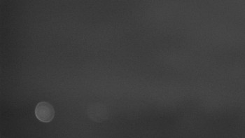 Snímek    31.10.2025 v 23:32