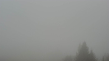 Snímek    9.11.2025 v 09:02