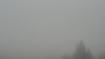 Snímek    14.11.2025 v 10:32