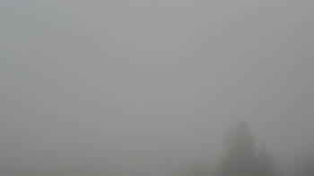 Snímek 17.11.2025 v 09:02