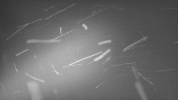 Snímek 17.11.2025 v 18:02