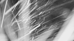 Troják, Maruška - panorama