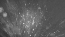 Troják, Maruška - panorama