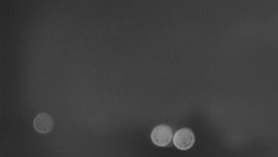 Troják, Maruška - panorama