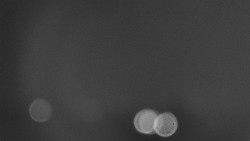 Troják, Maruška - panorama