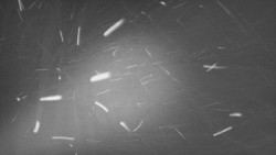 Troják, Maruška - panorama