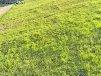 Snímek    9.5.2025 v 08:00