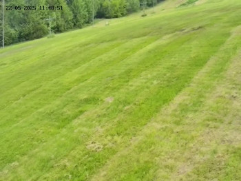 Snímek    22.5.2025 v 12:00