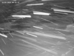 Spodní část sjezdovky č. 4