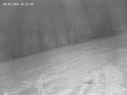 Spodní část sjezdovky č. 4