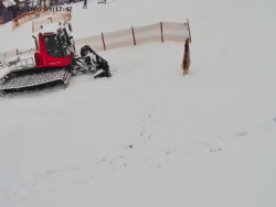 Spodní část sjezdovky č. 4