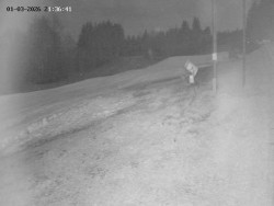 Spodní část sjezdovky č. 4