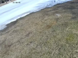 Spodní část sjezdovky č. 4